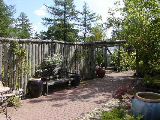 image14