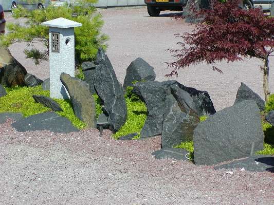 image7