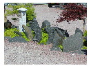thumbnail7