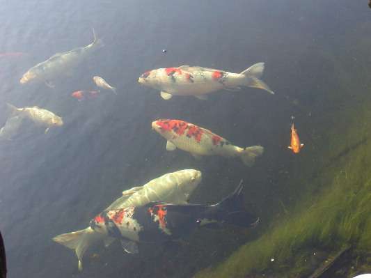 image6