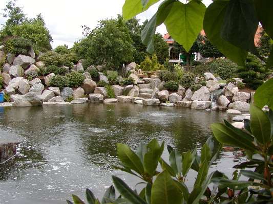 image10