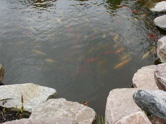 image22