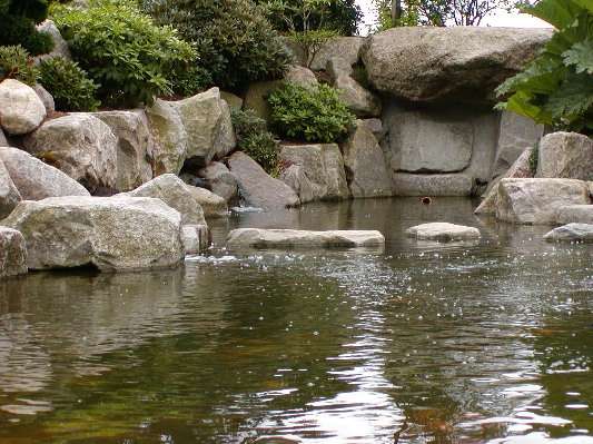 image23
