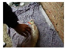 thumbnail2