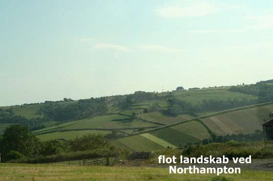 image28