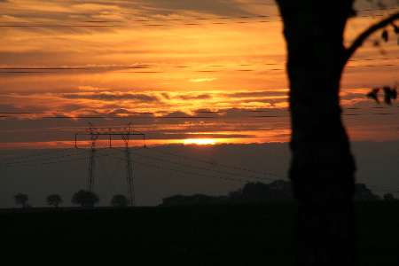 japansk have - solnedgang