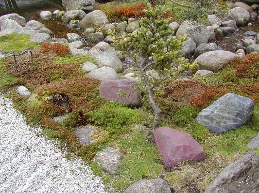image10