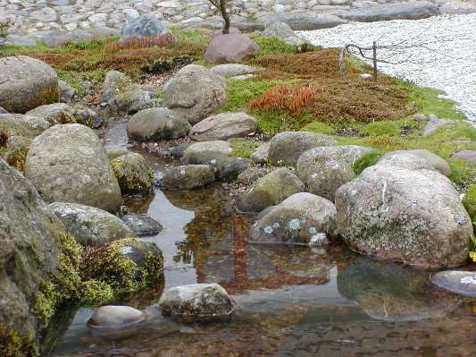 image6